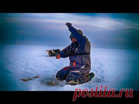 Косим окуня и сорогу на козу и букашика! БЕЗМОТЫЛКА ФОРЕВА! Зимняя рыбалка на безмотылку - видео онлайн. Сайт Новосибирских рыбаков