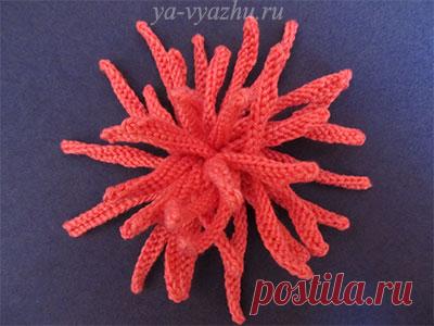 Вязаный цветок - игольчатая хризантема. МК