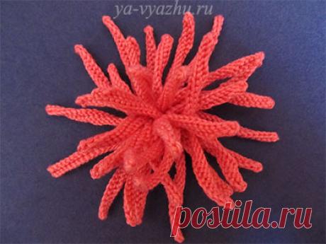 Вязаный цветок - игольчатая хризантема. МК