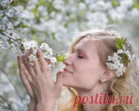 Лучший уход за кожей лица. Что необходимо сделать весной