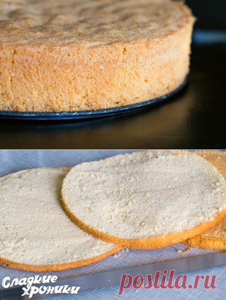 Пышный и простой бисквит для торта: 3 рецепта с фото пошагово в домашних условиях - Сладкие хроники