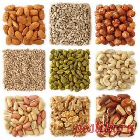 Чем полезны орехи — Мегаздоров