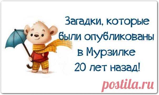 18 возмутительных загадок для детей
