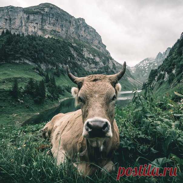 Switzerland / Путешествие с комфортом