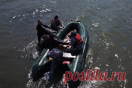 Появились новые данные о поиске выброшенных россиянином ручных дельфинов. Одна из четырех ручных афалин, выброшенных в море владельцем дельфинария в Севастополе, по предварительным данным, найдена мертвой на берегу пляжа в районе села Осипенко. Об этом заявил губернатор города Михаил Развожаев. Он отметил, что сейчас на месте начали работу сотрудники полиции и специалисты Севприроднадзора.