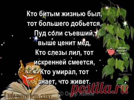 Одноклассники