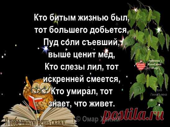 Одноклассники