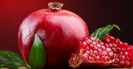 Как вырастить гранат из косточки? - GreenMarket