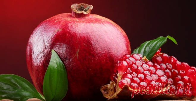 Как вырастить гранат из косточки? - GreenMarket