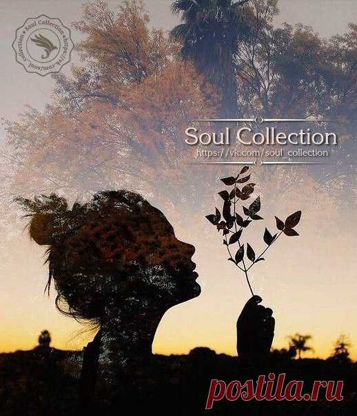 Когда мы в самом простом найдем высший смысл...
Мудрее, чище всех призывов и гимнов,
Тогда солнце откроет врата в просторную высь,
И мы никогда не погибнем...

Алексей Мышкин