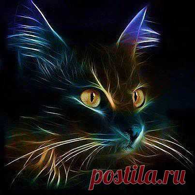 Автор:  Jennifer Campbell