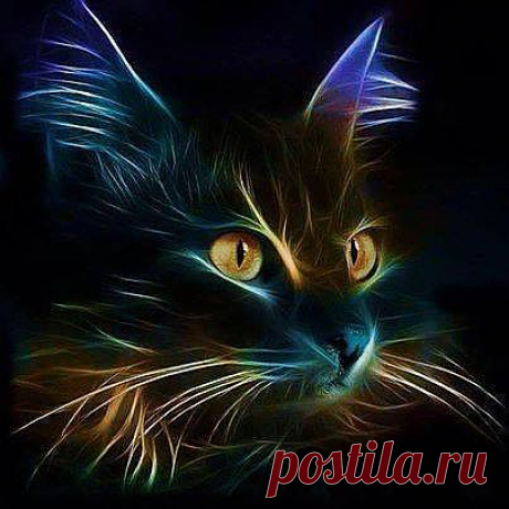 Автор:  Jennifer Campbell