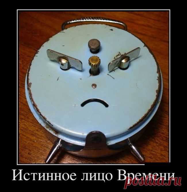 Самые смешные демотиваторы дня! / Приколы