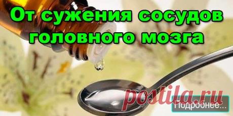 От сужения сосудов головного мозга - ПОЛЕЗНЫЕ СОВЕТЫ