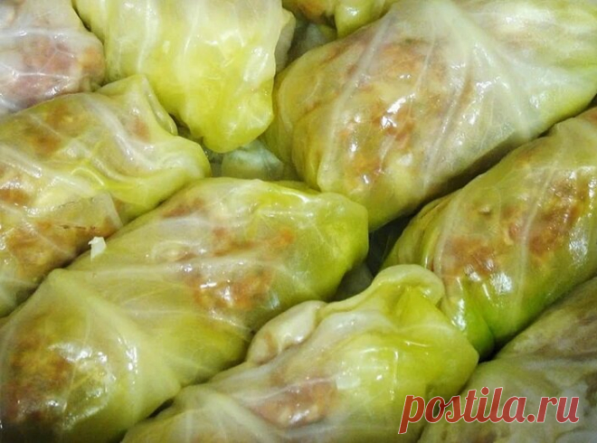 Как приготовить голубцы в 3 раза вкуснее, чем обычно. Делюсь поварской хитростью | Отчаянная Домохозяйка | Яндекс Дзен