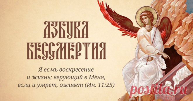 Смерть тела – не конец для бессмертной души. Как понимает смерть православное христианство? Как справиться с потерей? Молитвы, прощание с усопшим, поминовение. Развенчание суеверий и ответы на главные вопросы о жизни и смерти.