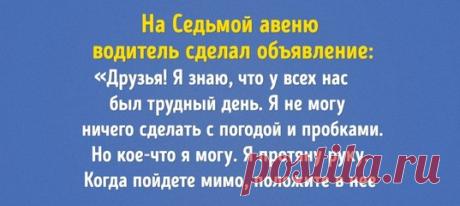 Новости