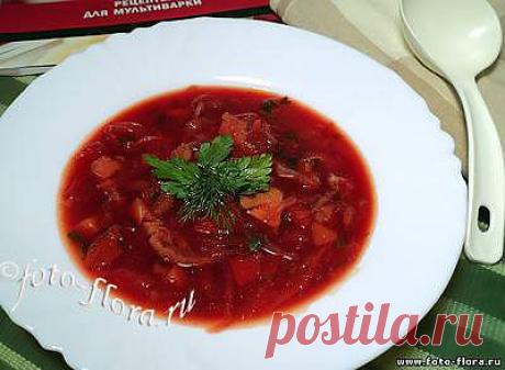 Борщ с курицей в мультиварке - Первые блюда - Готовим вкусно дома - Книга рецептов