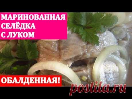 Обалденно вкусная маринованная селедка с луком, приготовленная по этому рецепту, будет готова уже через сутки после посола. Хранить ее можно в холодильнике, а подавать с отварным картофелем.
