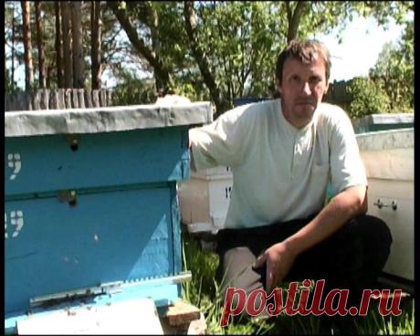 лето 2011