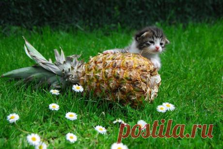 ((((Положительное Настроение))))
О л ь г а