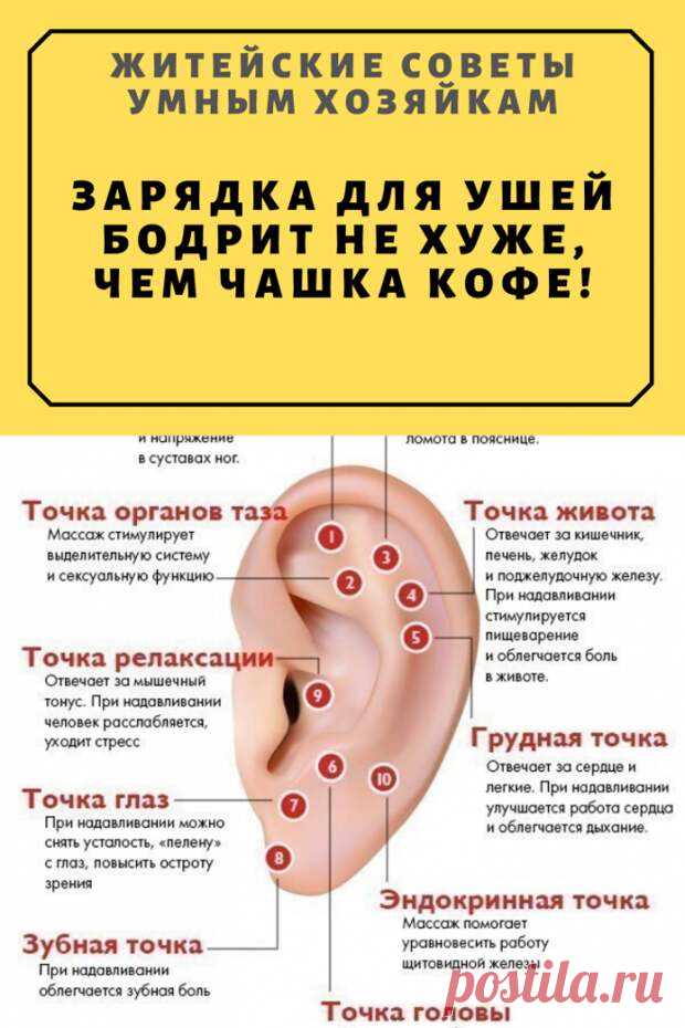 МАССАЖ УШЕЙ БОДРИТ НЕ ХУЖЕ КОФЕ! - Копилка советов на каждый день - медиаплатформа МирТесен Вы устали? Все валится из рук, голова не работает и настроение никакое? Ежедневный массаж ушной раковины способен активизировать в организме все жизненно важные процессы, зарядить вас энергией и повысить работоспособность. На ушной раковине расположено большинство биологически активных точек (около
