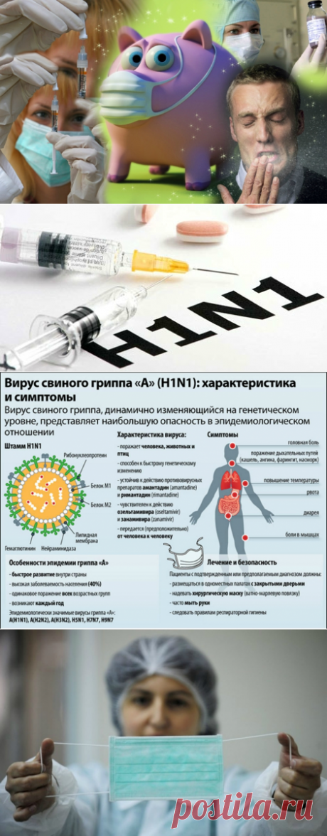 ОСОБЕННОСТИ СВИНОГО ГРИППА И ЕГО ПРОФИЛАКТИКА.