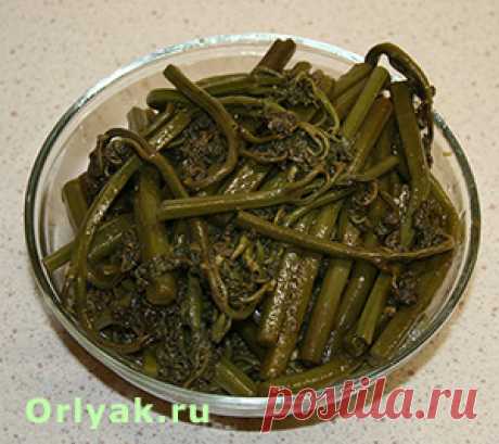 Папоротник Орляк - заготовка и рецепты приготовления!