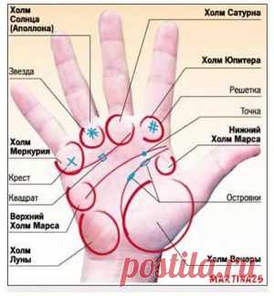 Разминаем шею. Как снять мышечное перенапряжение