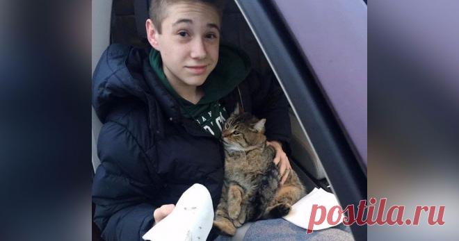 Из мчащегося по мосту фургона выбросили кота, подросток немедленно бросился на помощь животному! У парня было несколько секунд, чтобы спасти животное