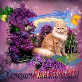 Мой Мир@Mail.Ru