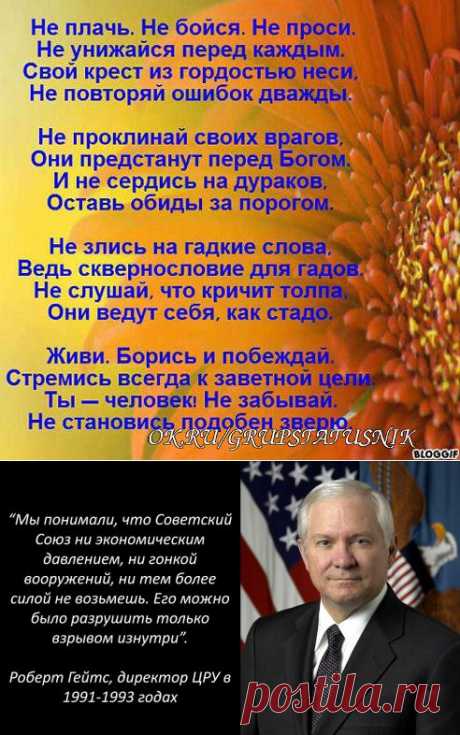 (47) Одноклассники