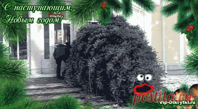 С Наступающим Новым годом! Наряжаем Елку ...