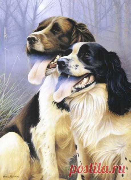 Художник-анималист Nigel Hemming (62 работ) » Страница 2 » Картины, художники, фотографы на Nevsepic