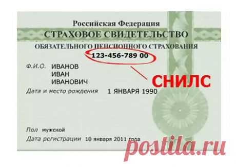 Отмена карточки СНИЛС в России: срок, порядок перехода