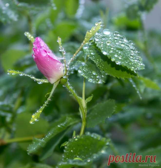 #photography #nature