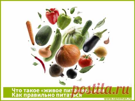 Что такое «живое питание», или Как правильно питаться Рассказываем, что такое «живое питание», как перейти на растительную диету, а также какие продукты стоит употреблять, чтобы быть  здоровым.