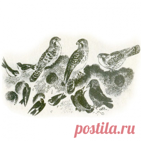 КРАСНАЯ ГОРКА