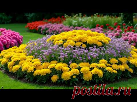 Garden design. Топ ідей для вашої ділянки