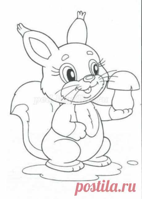 (560) Pinterest