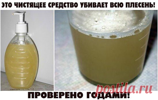 (99) Одноклассники