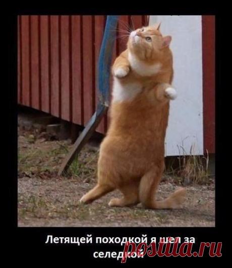 все будет хорошо