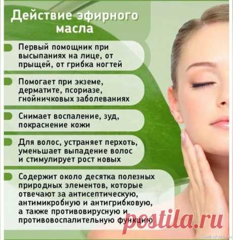 Секреты красоты. Масло чайного дерева .