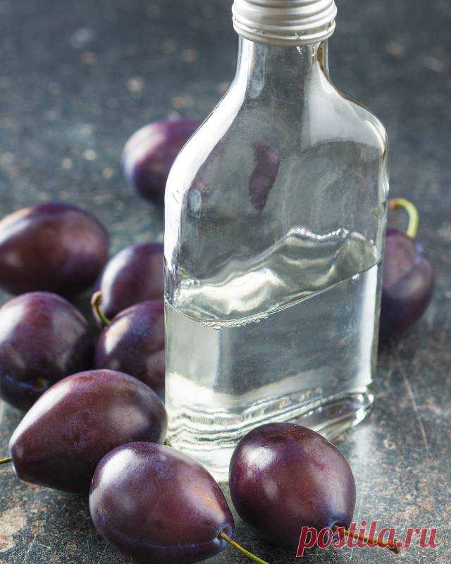 Сливовица — Сад Заготовка