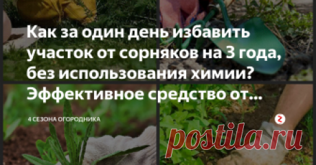 Как за один день избавить участок от сорняков на 3 года, без использования химии? Эффективное средство от сорняков! Что и говорить, сорняки - это настоящая напасть для каждого огородника. Казалось бы, только прополол грядку, а их опять видимо-невидимо, особенно после поливов или дождей.
Безусловно, на самих грядках сорняки лучше пропалывать вручную. Там где растут культурные растения не стоит использовать какие-либо вспомогательные средства, а уж тем более, химические пре...