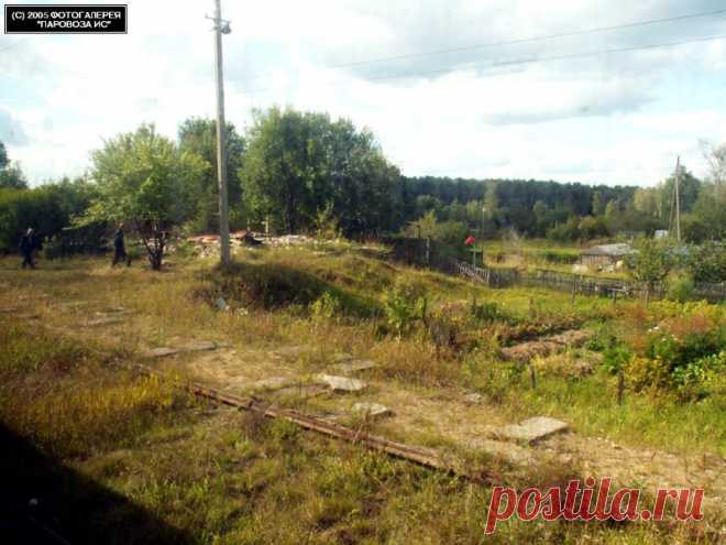 Станция Соколовский. Остатки вокзала { Sokolovskiy station remnants }, Костромская обл