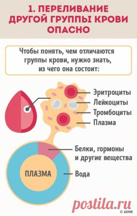 Почему нужно знать группу крови всех членов семьи?