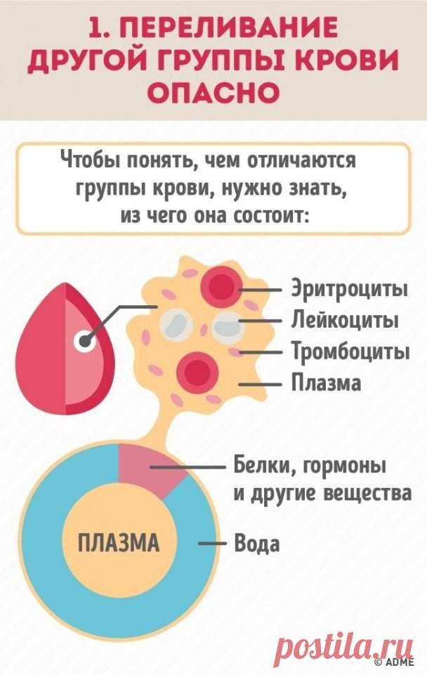 Почему нужно знать группу крови всех членов семьи?