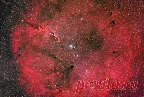 Эмиссионная туманность IC 1396 / Интересный космос
