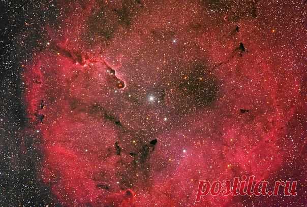 Эмиссионная туманность IC 1396 / Интересный космос